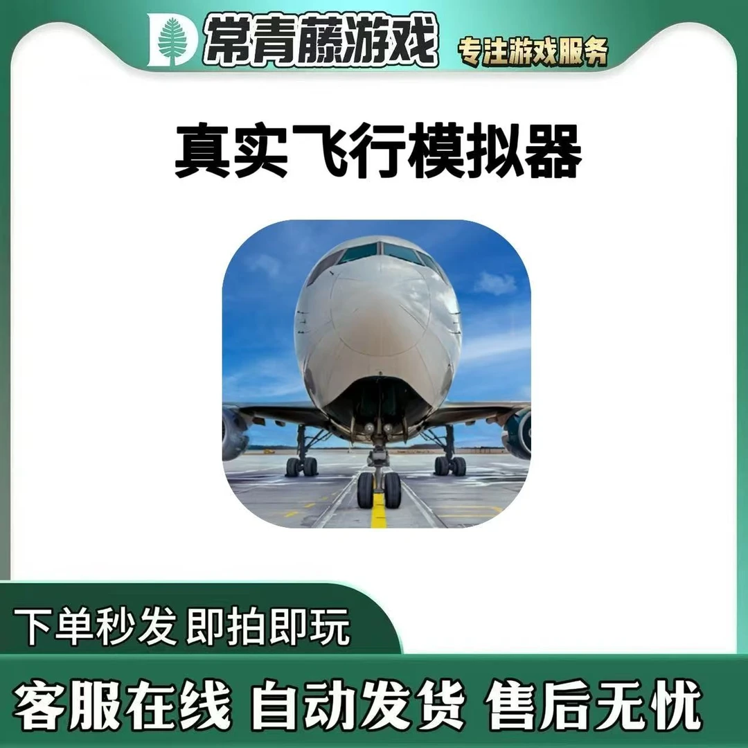 真实飞行 Flight- Plane Game 游戏