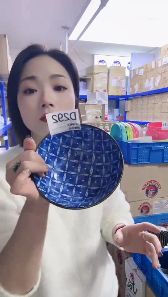 【闪购商品】瓷片日本进口瓷器江户15cm碗D262