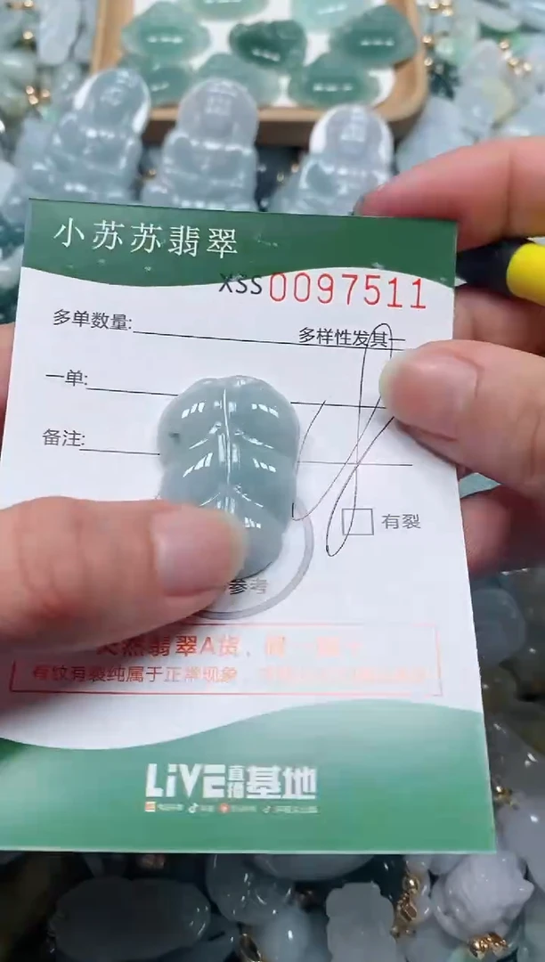 【闪购商品】翡翠颈饰未镶嵌闪购商品0097511