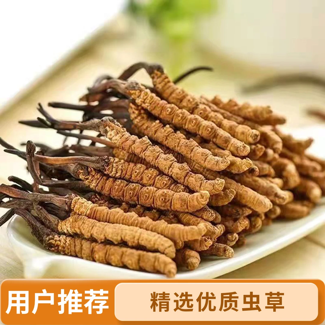 精选正宗藏区高海拔冬虫夏草整根新草干货非那曲可滋补食用泡水