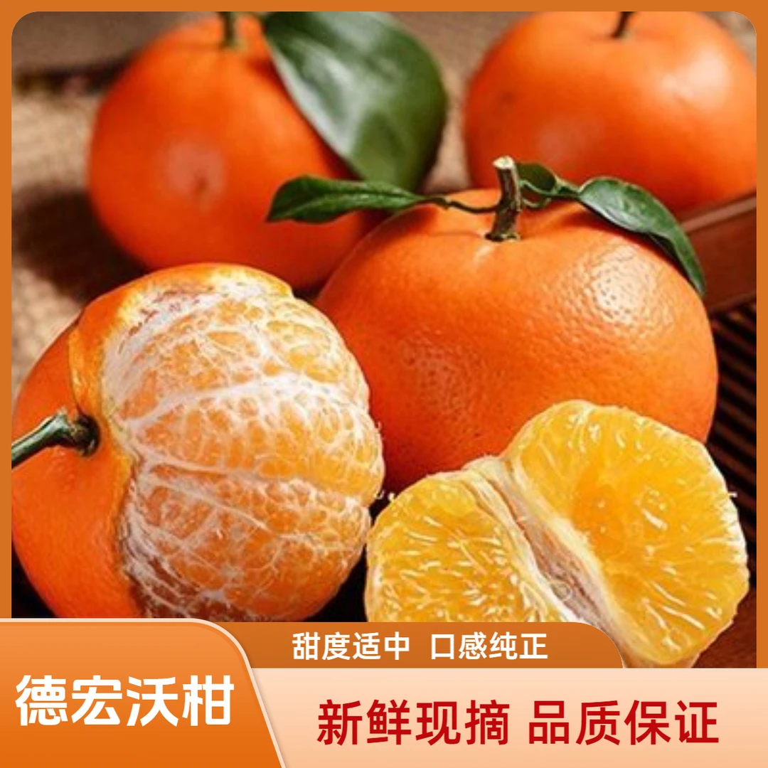 德宏沃柑 果园新鲜采摘精选优质大果产地直发