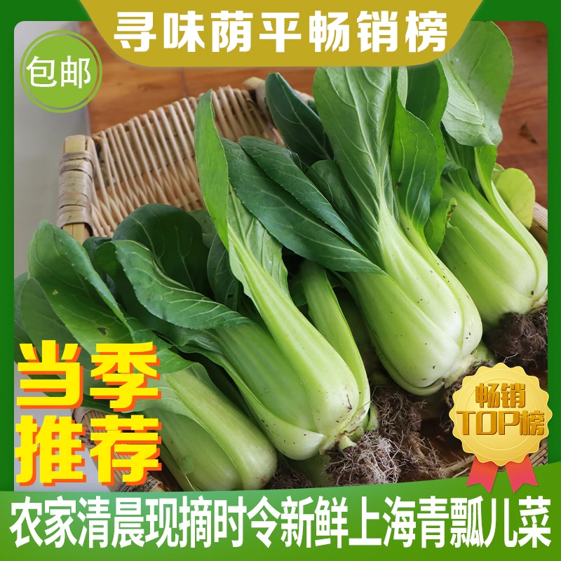 寻味荫平畅销榜农家清晨现摘时令新鲜上海青瓢儿菜