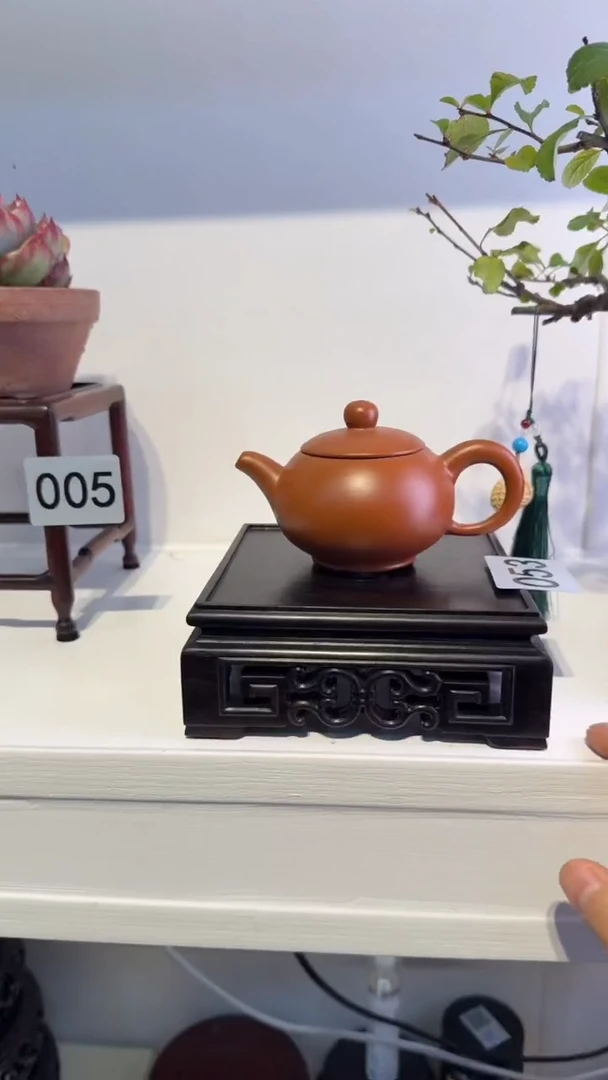 1紫砂紫砂紫砂紫砂紫砂