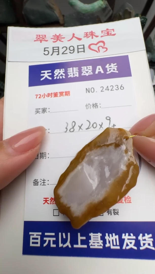 翡翠未镶嵌颈饰原石24236