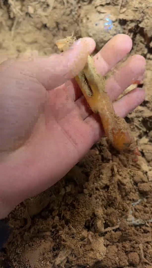 家居直播精选家居