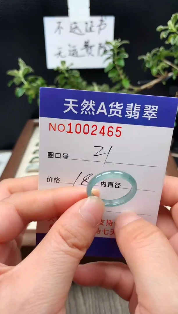 未镶嵌戒指翡翠21#