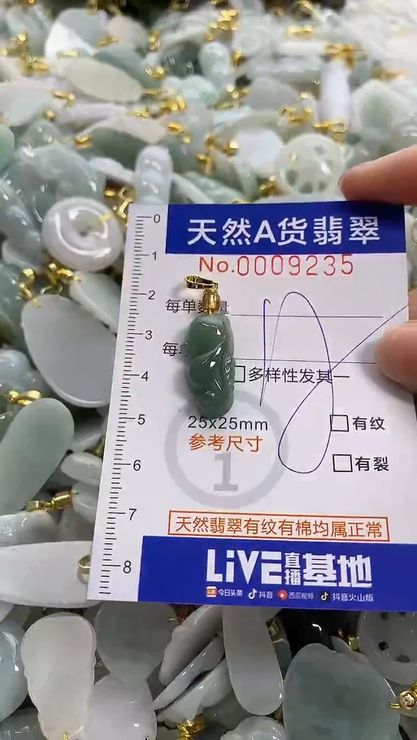 颈饰未镶嵌翡翠天然A货翡翠