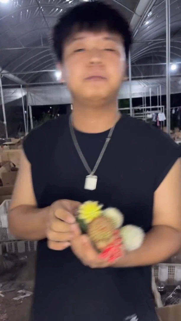 5色球组合【嫁接】