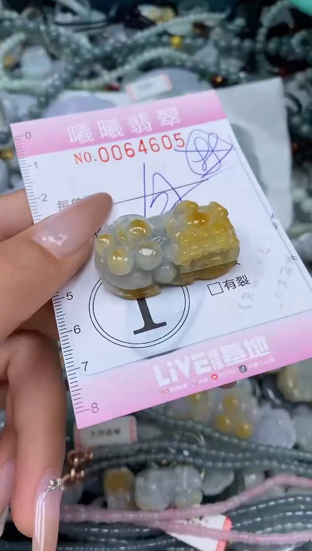 颈饰未镶嵌翡翠闪购0064605