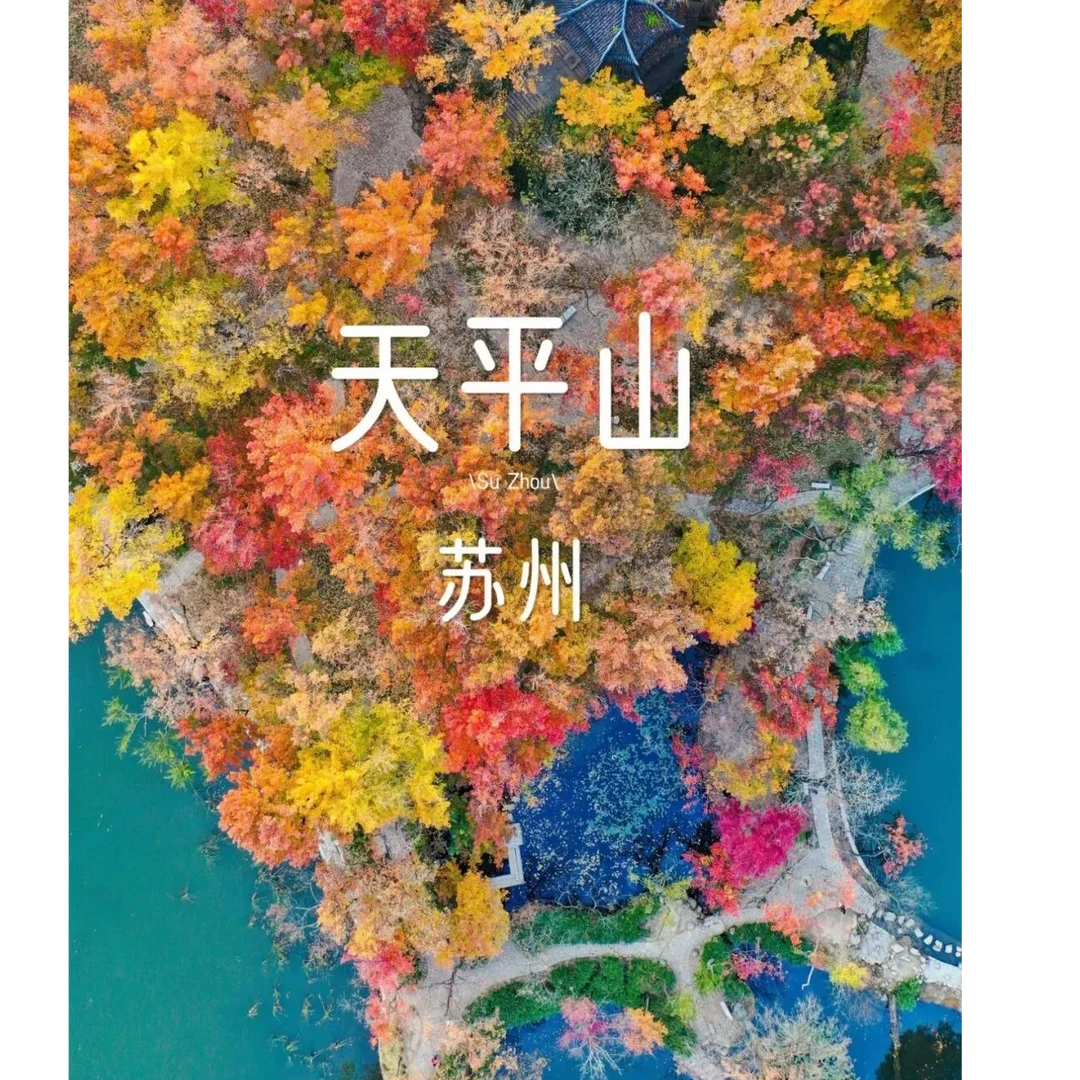 亲子户外活动（满8周岁可独立参加）