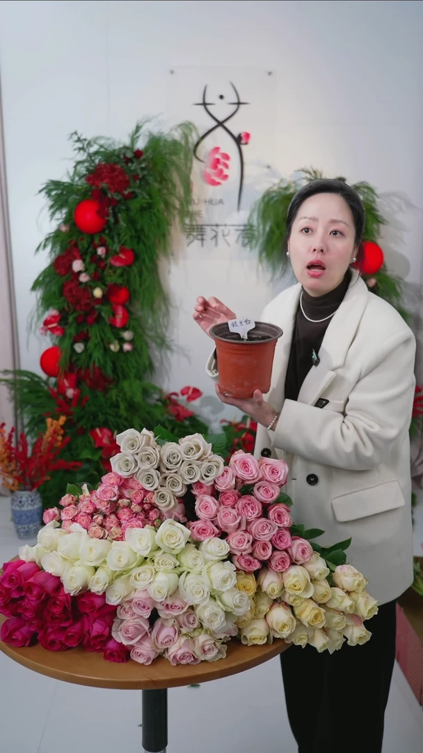 H****』 Helen『扶摇直上』玫瑰