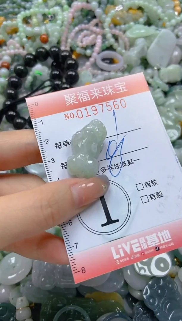 翡翠未镶嵌颈饰闪购0197560