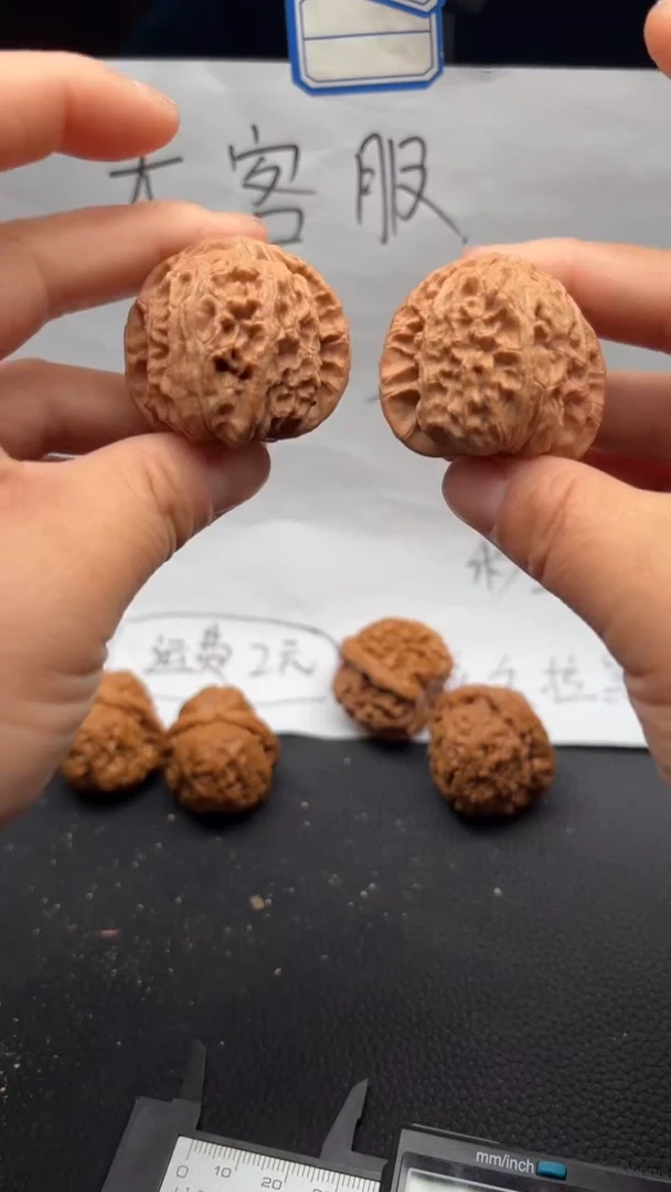 把件文玩核桃277白狮子