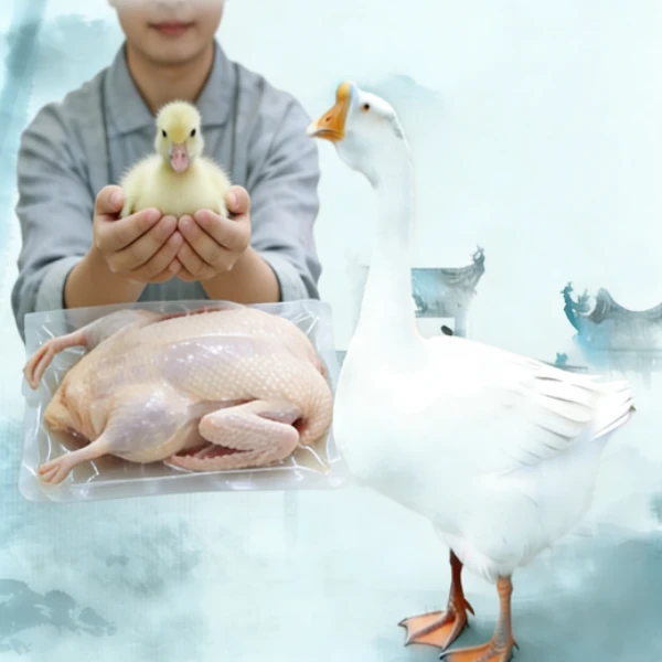 三花鹅2两左右肉鹅出壳鹅肉鲜美生鲜新鲜