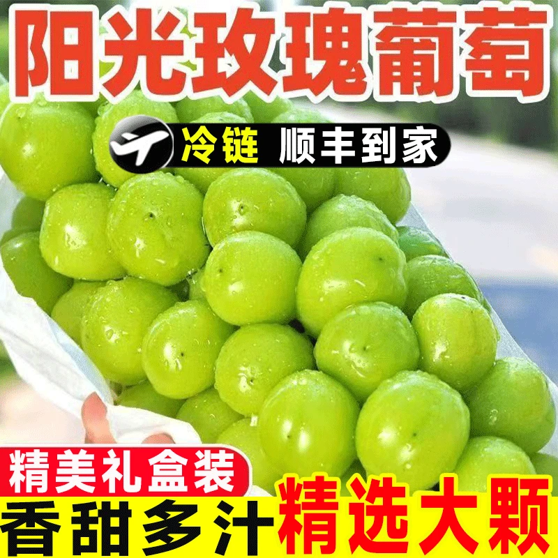 【顺丰包邮】正宗阳光玫瑰晴王脆甜爆汁无籽葡萄青提当季新鲜葡萄