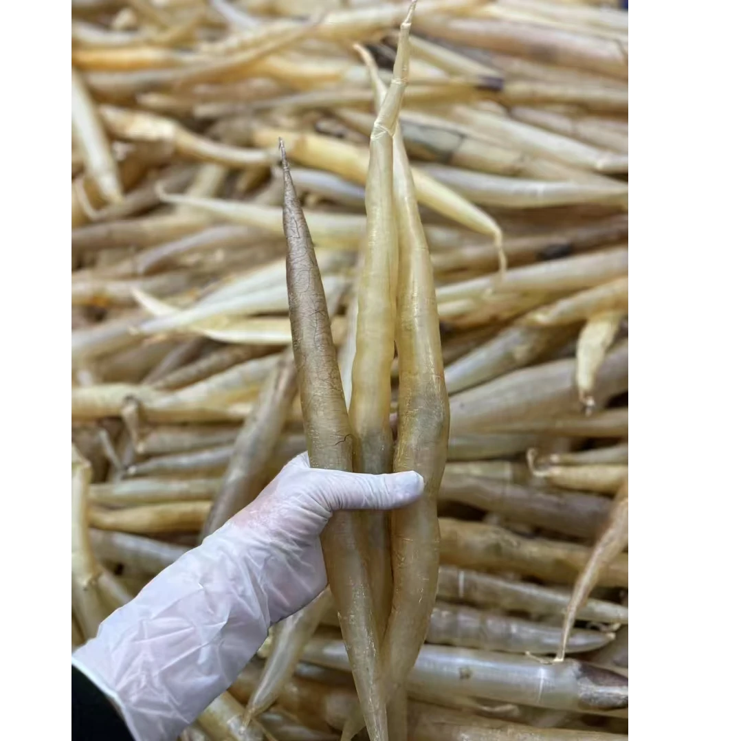 鳗鱼胶（45头）           山货