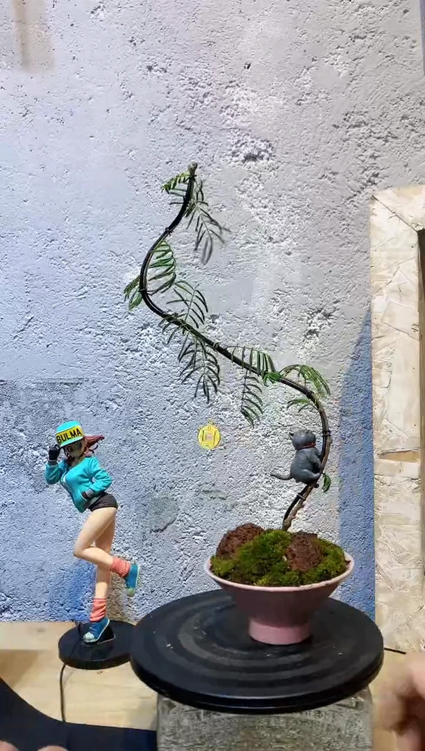 大部分花苞少量开放123合欢