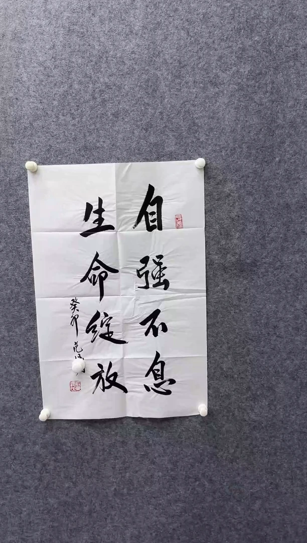 书法7-9-范老师2.7平尺书法作品