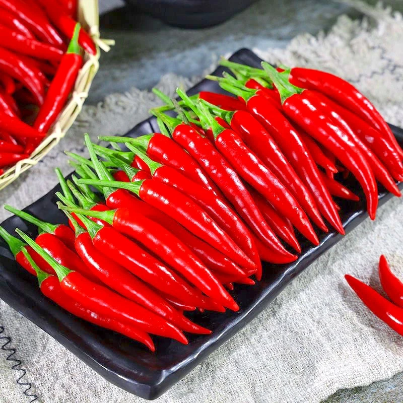 小米辣 新鲜采摘特辣小米椒现摘现发可做泡椒剁椒