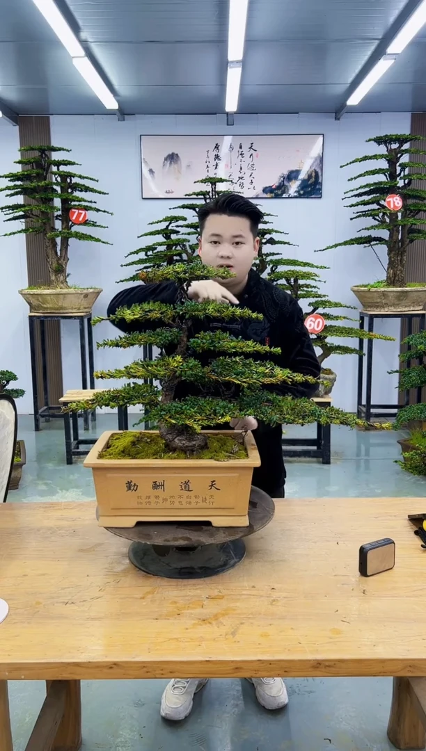 以实际为准00000000