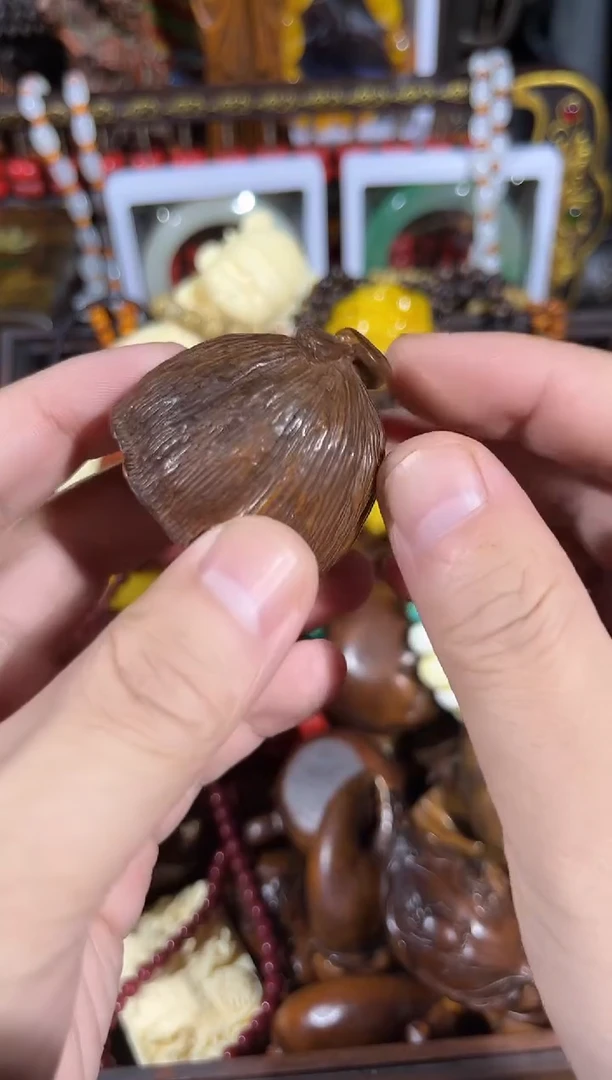 【闪购商品】黄杨木11111111111111111111