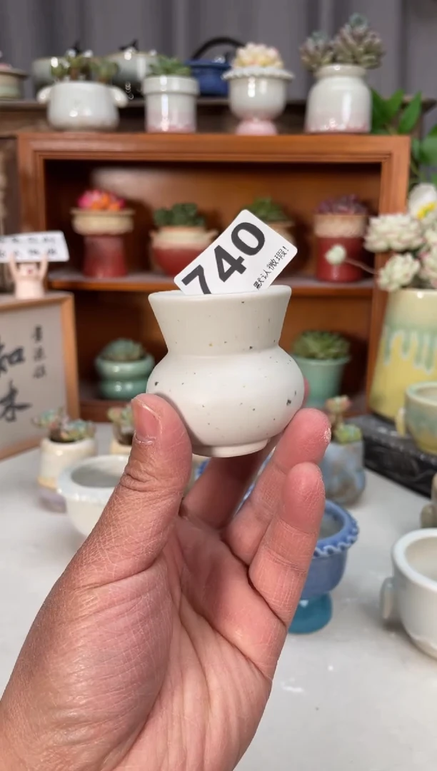 瓷片R**-740小芳直播编号