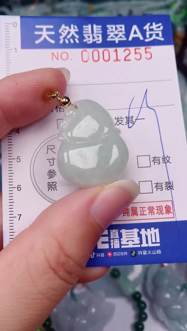 颈饰未镶嵌翡翠00001255