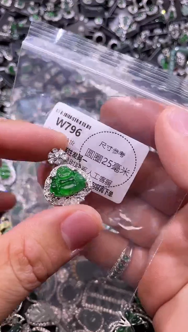 翡翠未镶嵌颈饰W796吊坠