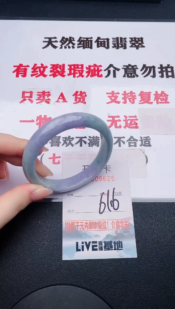未镶嵌手镯翡翠25