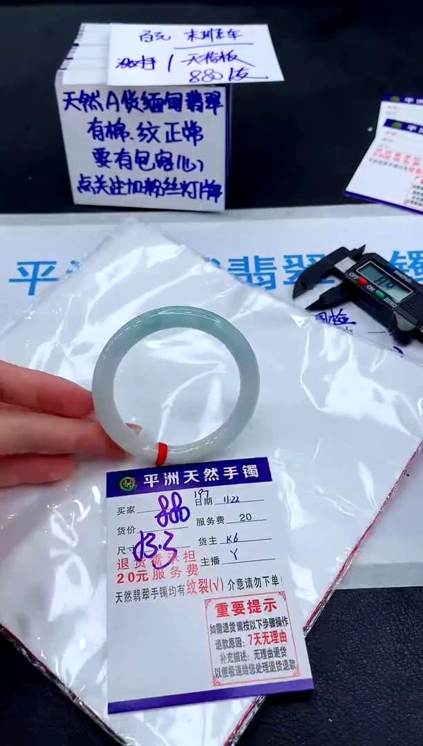 未镶嵌手镯翡翠11111
