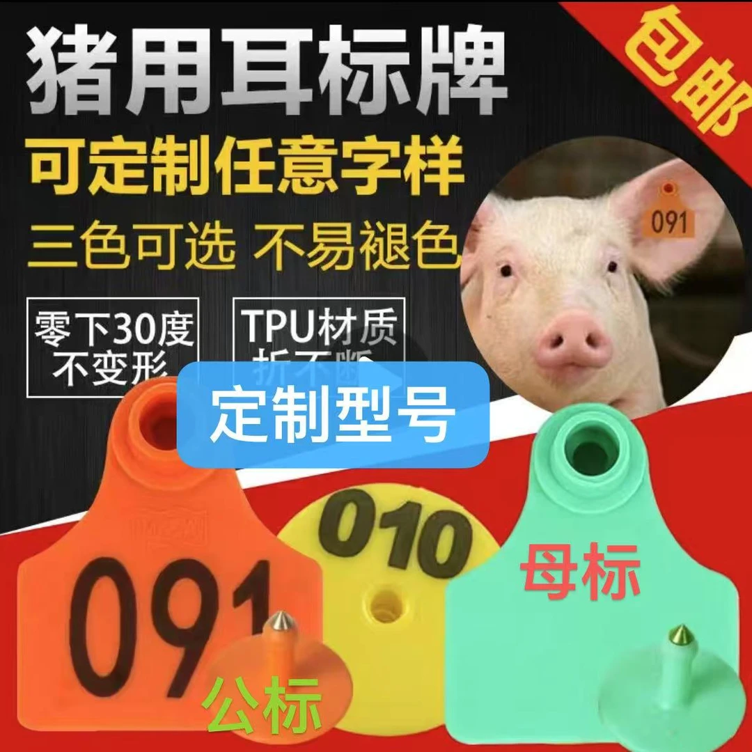 长白大白杜洛克种公猪猪精