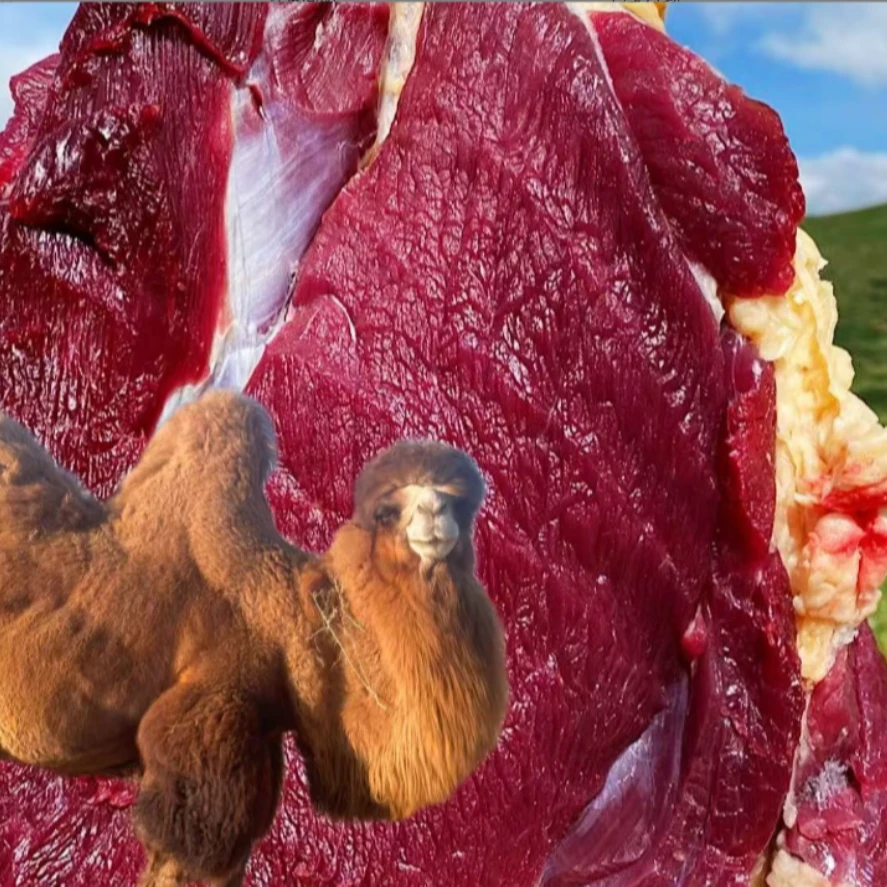 【小马溯源 专享 骆驼】2斤  清真好牛肉吃着放心