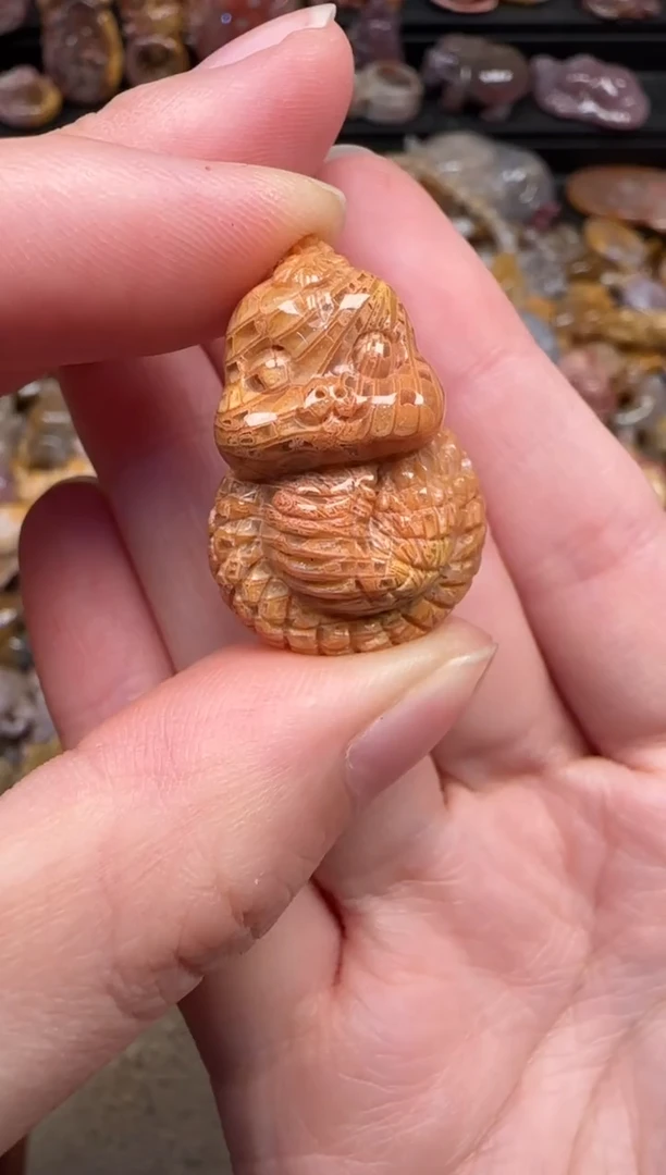 颈饰未镶嵌硅化珊瑚（珊瑚玉）564