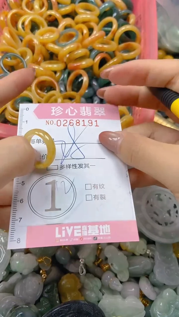 翡翠未镶嵌颈饰闪购0268191