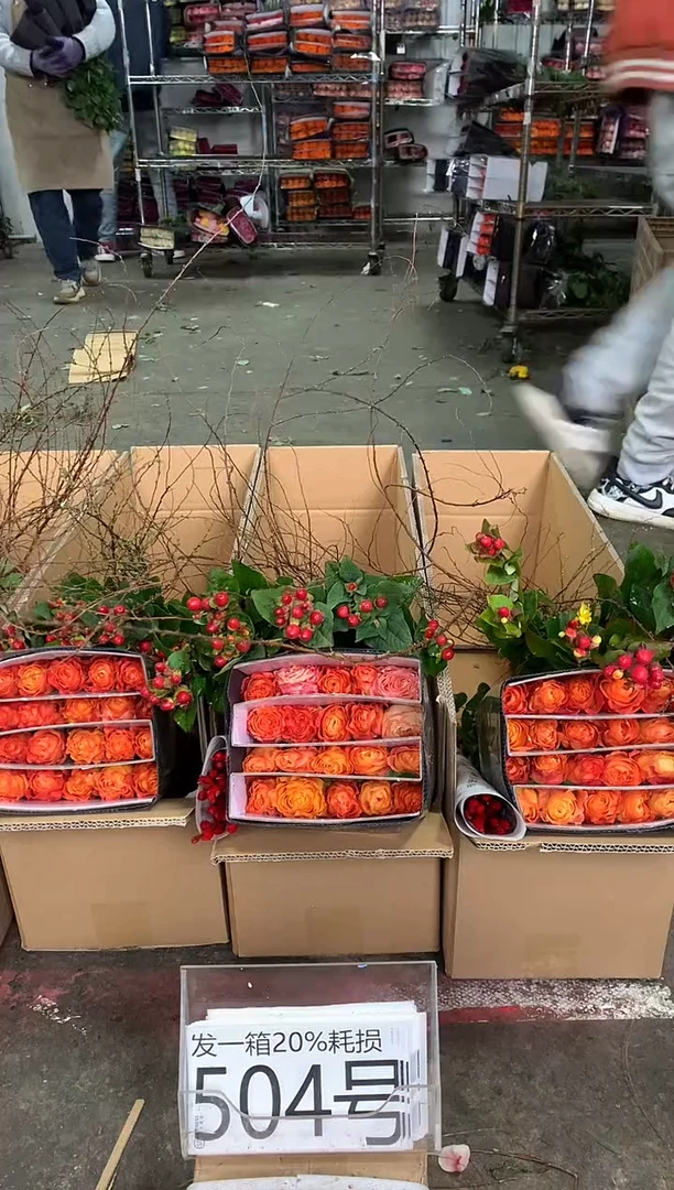 504号♥中通含20%耗损发一箱鲜花
