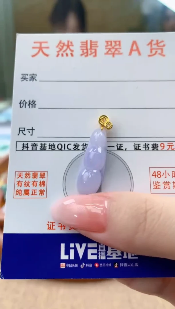 颈饰未镶嵌翡翠天然A货翡翠挂件