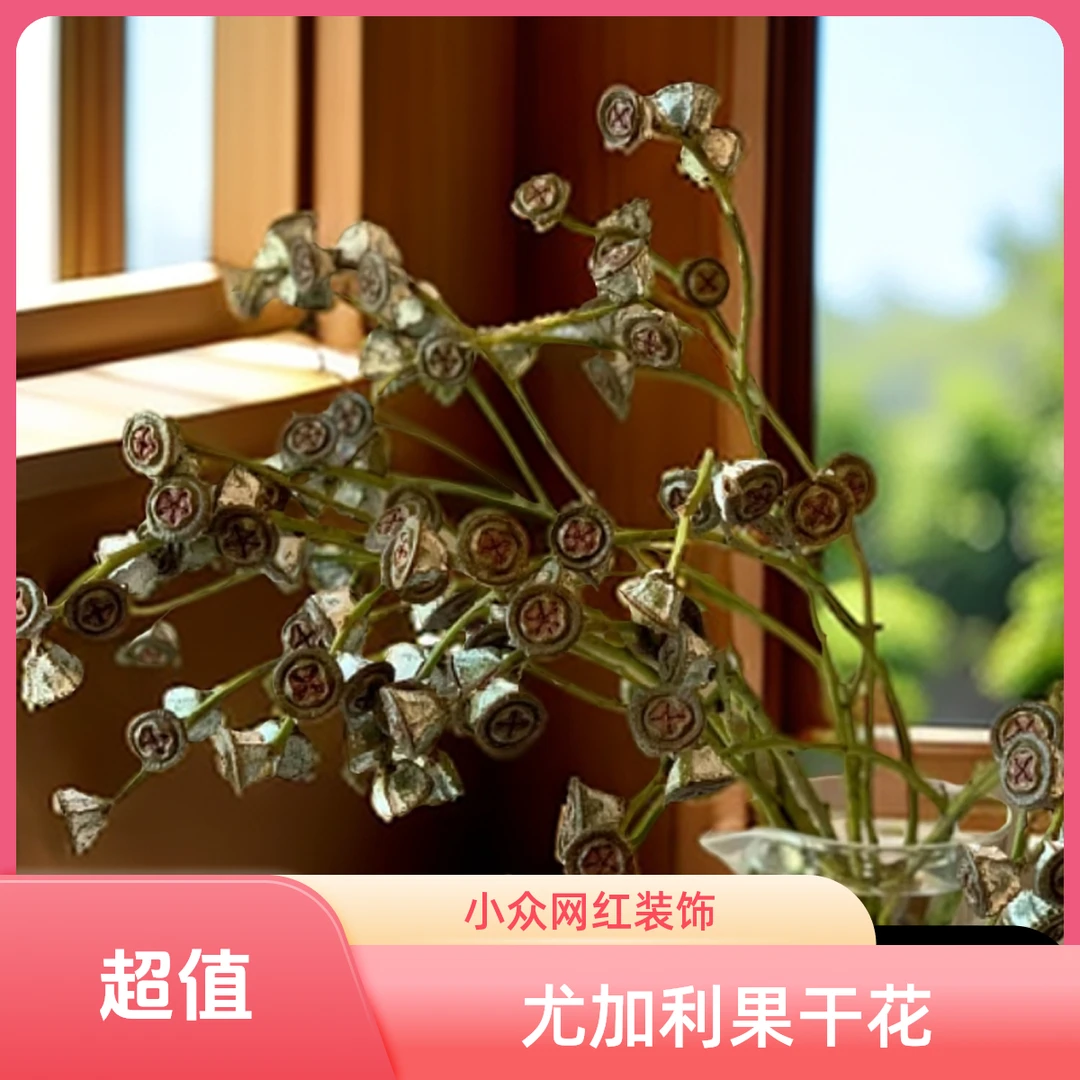 尤加利果干花小众网红家居装饰