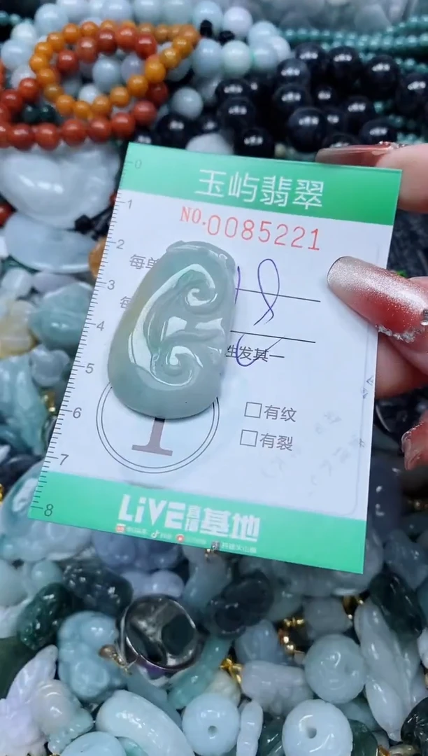 【闪购商品】翡翠颈饰未镶嵌闪购0085221