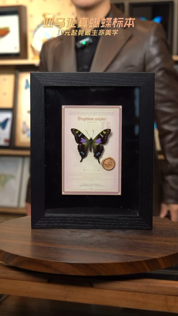 玫瑰青凤蝶设计款8寸黑框