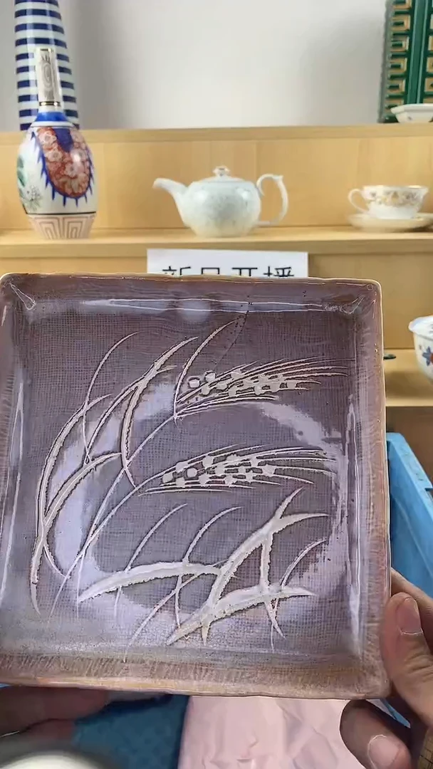 瓷片三*树新号开播第三天 家人们蹲住了