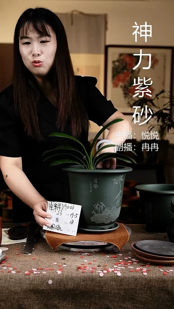 紫砂花盆花卉工艺9003+z果绿
