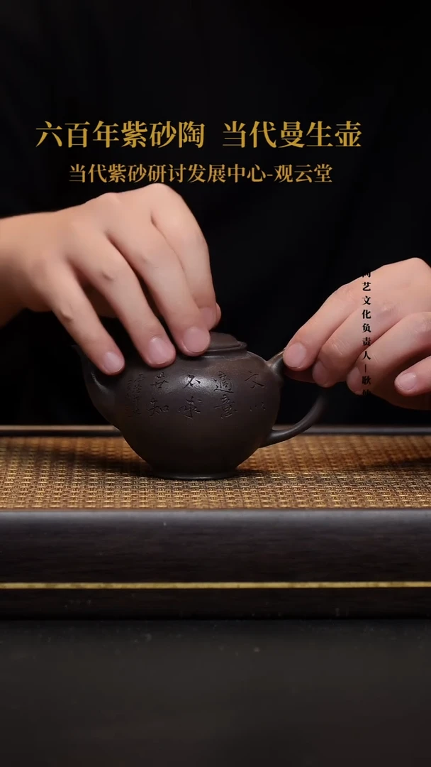 茶壶紫砂宜兴紫砂壶点犀