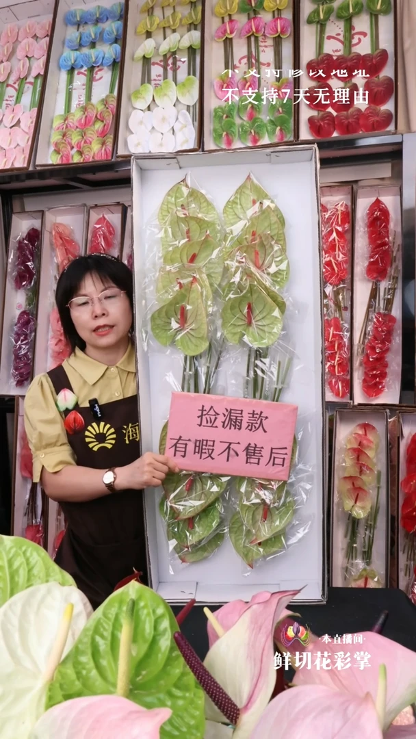 龙舌兰不售后18支