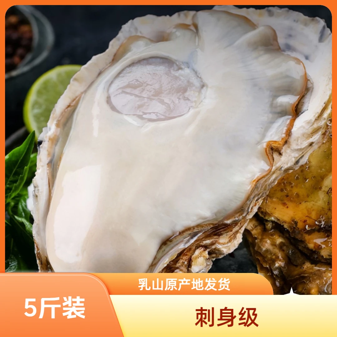 5斤装【刺身级乳山生蚝】2两-8两 包鲜包活包肥无泥无沙新鲜蒜蓉蚝