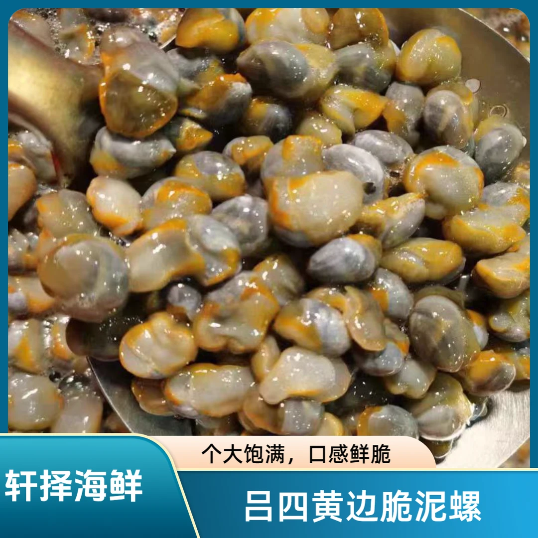 启东吕四黄边脆泥螺 可鲜发 可初步腌制 江浙沪皖顺丰包邮