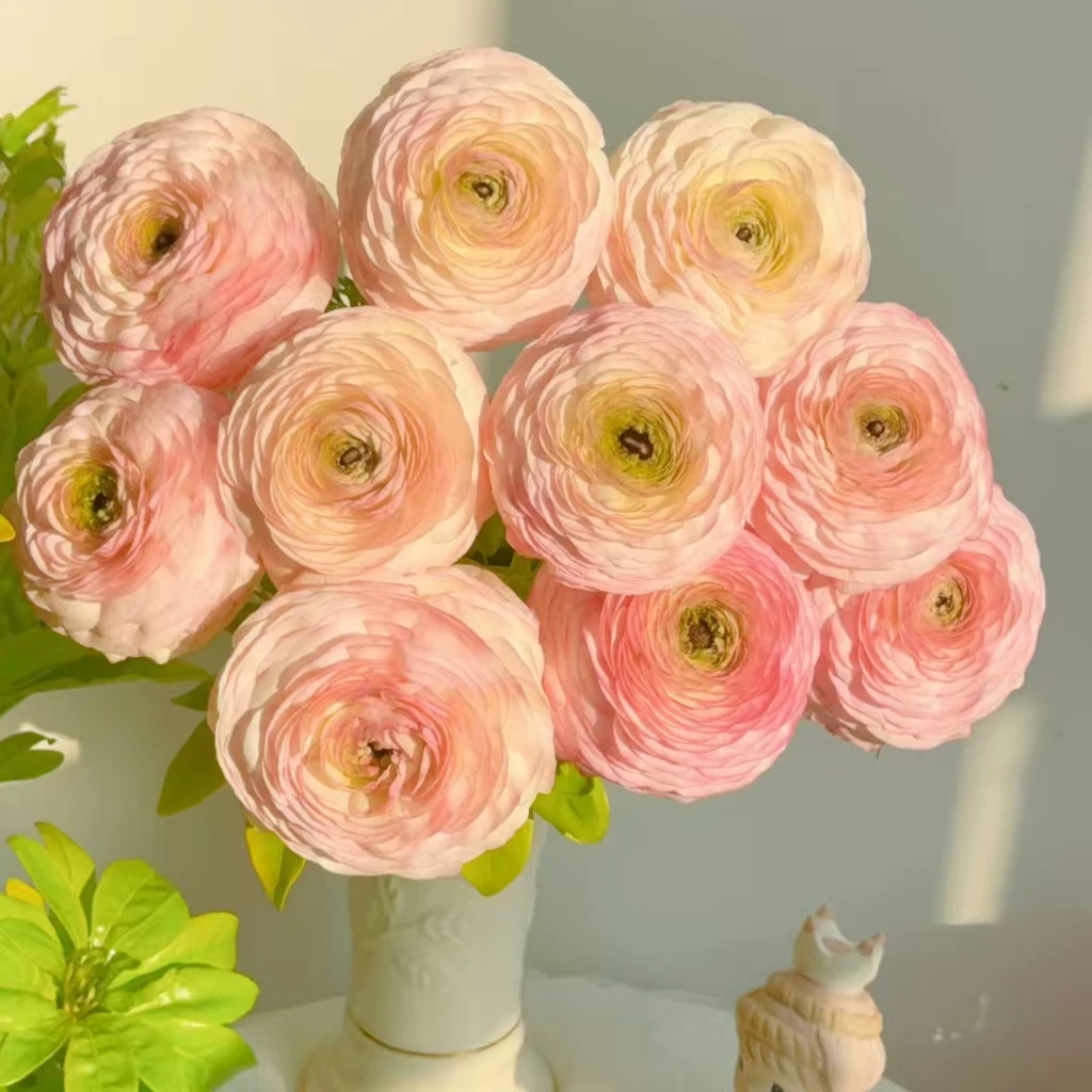 【陌上花开】蜜桃西柚洋牡丹-草花（带包装深水醒花哦~）（5支装）