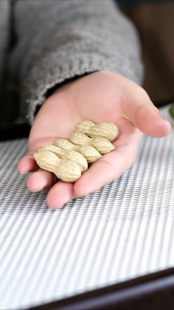 茶壶紫砂5个花生