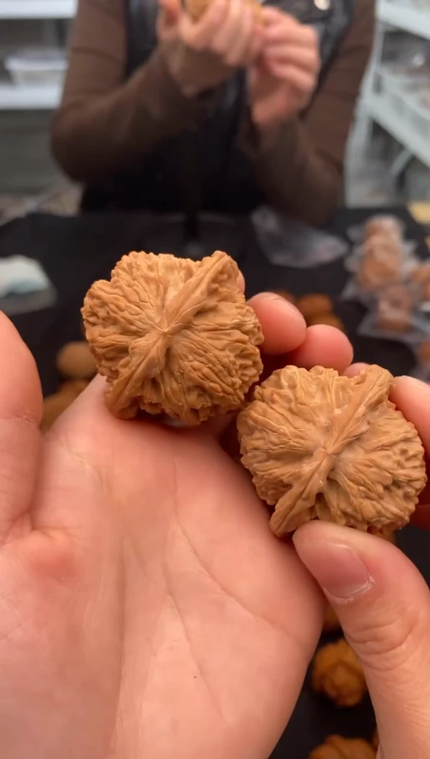 【闪购商品】文玩核桃把件白狮子41-u024