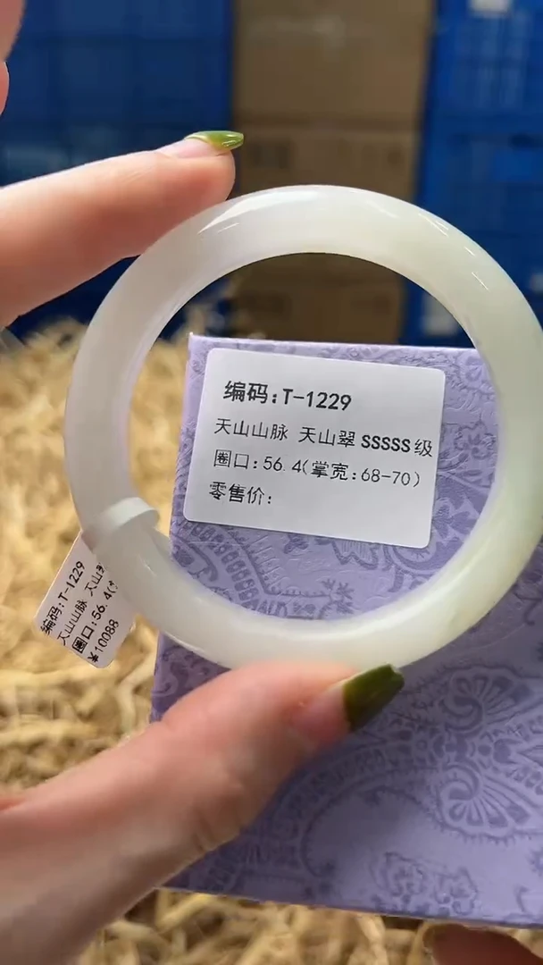 未镶嵌手镯石英质玉T1229