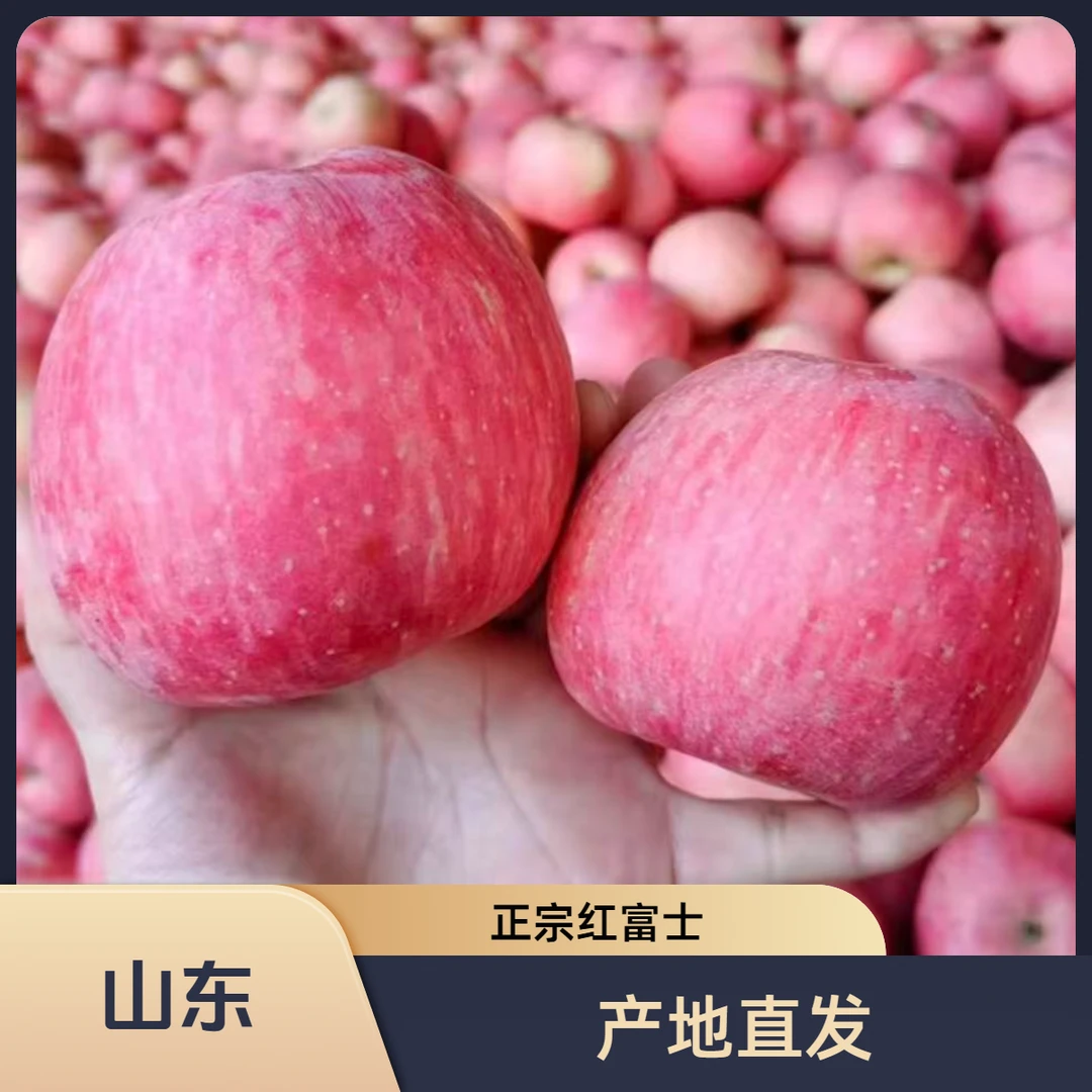 【产地直发】正宗山东烟台栖霞红富士苹果新鲜当季脆甜多汁